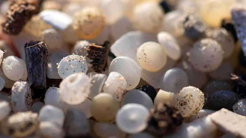 Plastic Nurdles.jpg